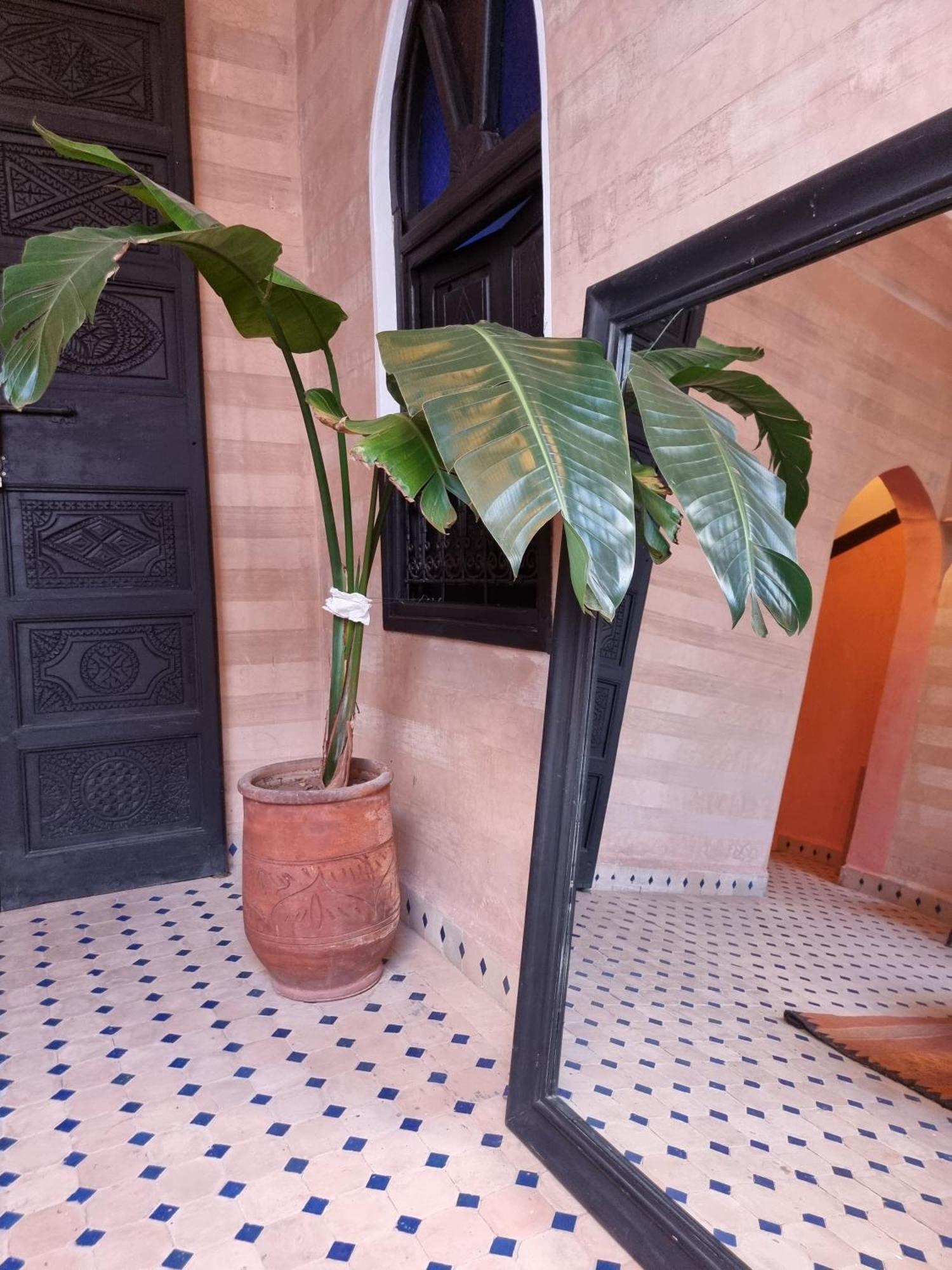 Riad Black Doors Marrakesh Luaran gambar