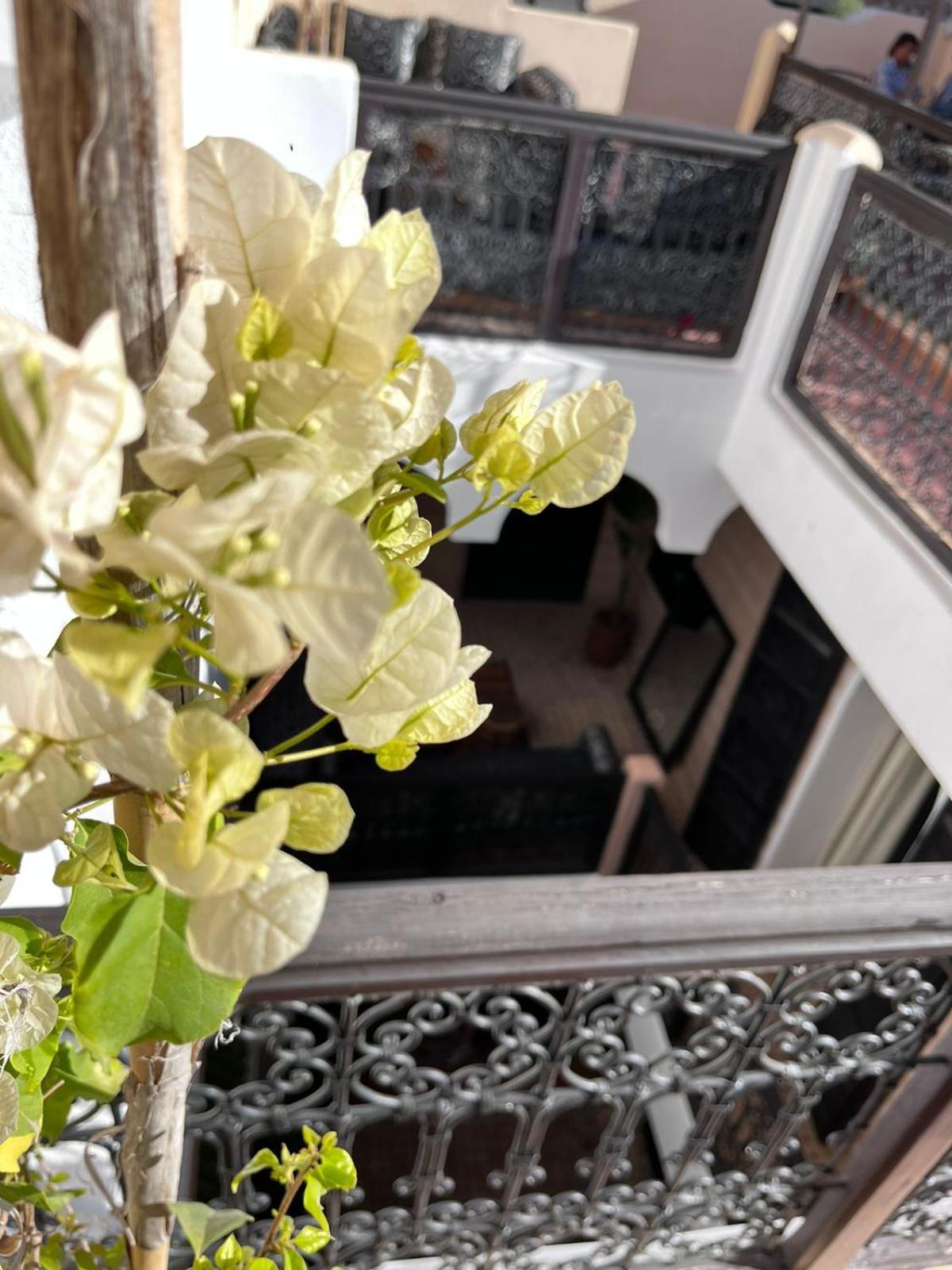 Riad Black Doors Marrakesh Luaran gambar